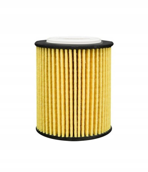 Filtron OE 667/6 Filtr oleju