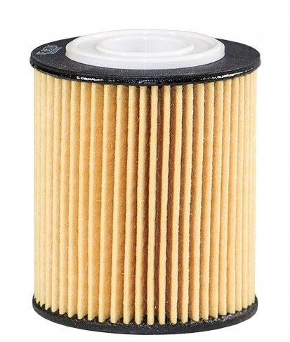 Filtron OE 667/6 Filtr oleju