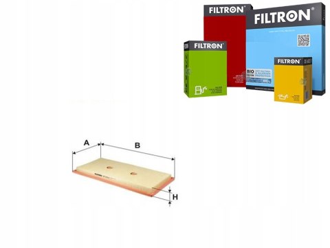 Filtron AP 035/6 Filtr powietrza